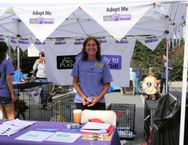 A volunteer in our “Adopt Me” booth