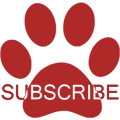 btn subscribe SM