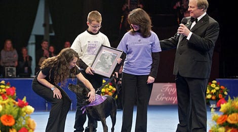 Philadelphia National Dog Show for Purina Pro Plan